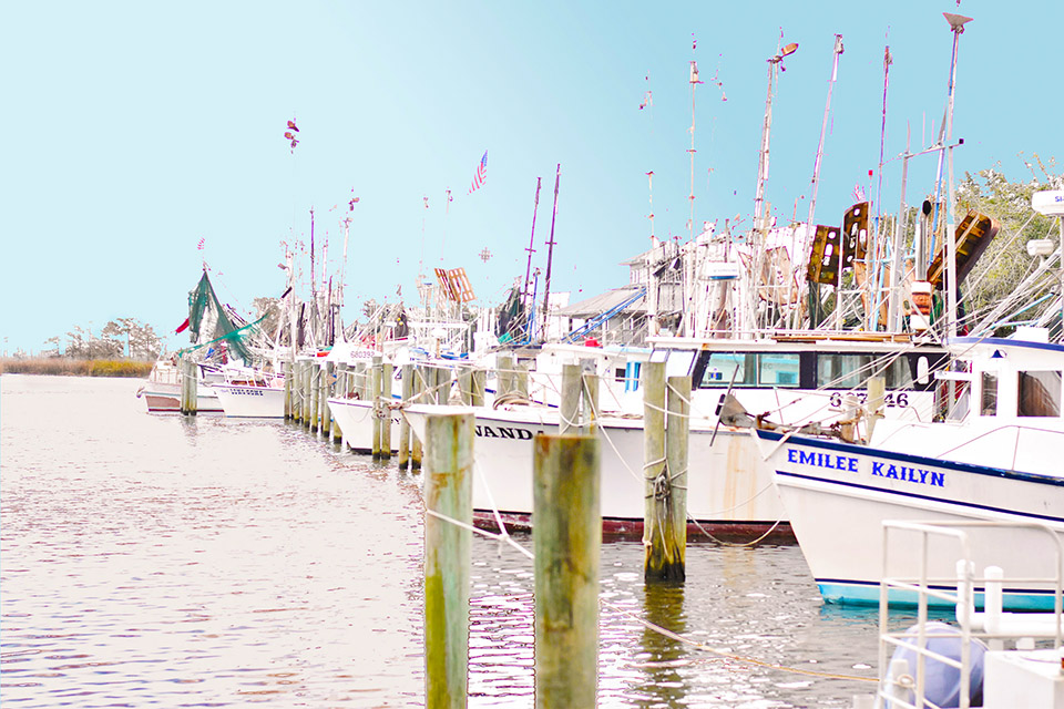 Toyota Road Trip 30A to Apalachicola Shrimp Boats