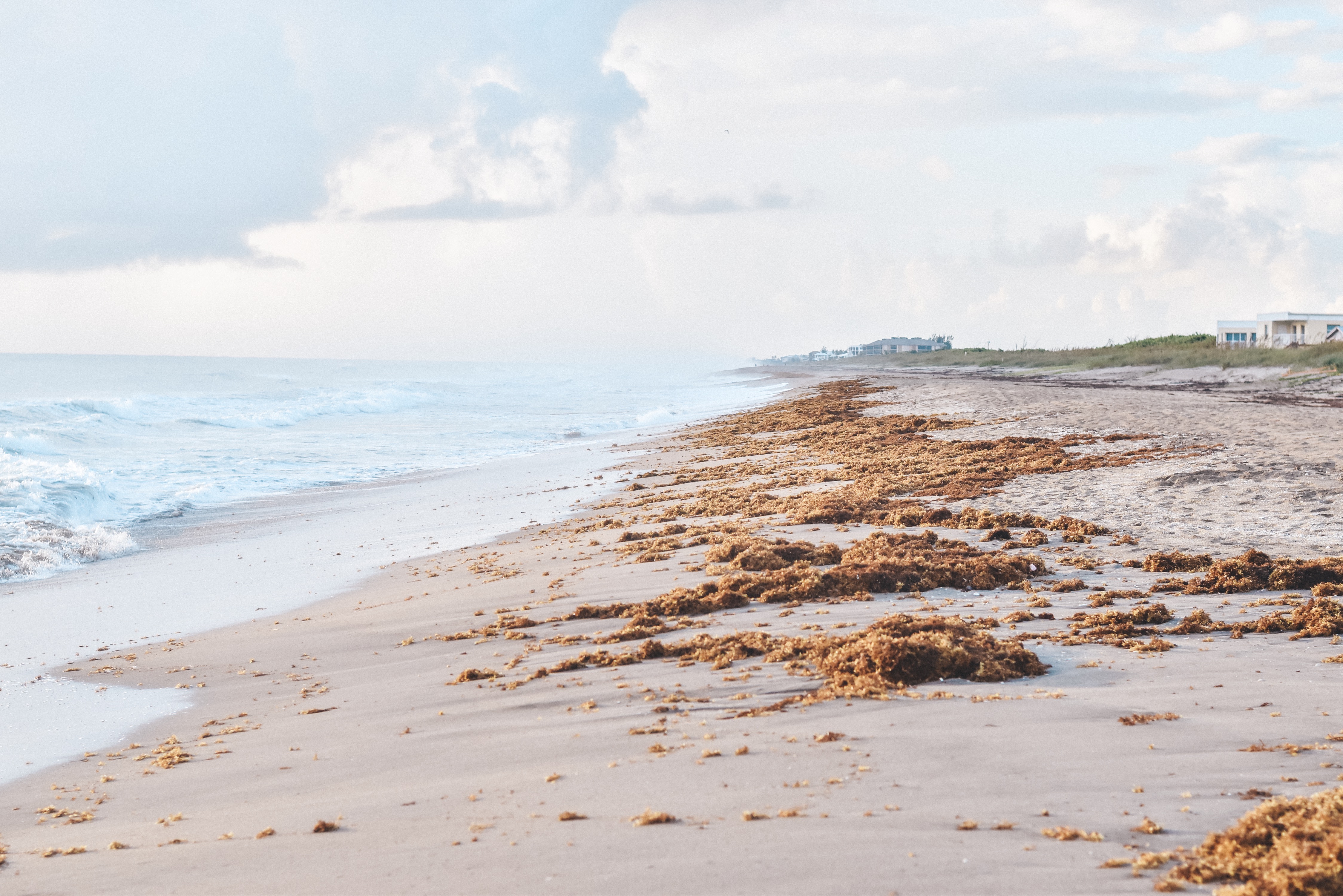 Hutchinson Shores - 30A Mama Travel - Quiet Beach