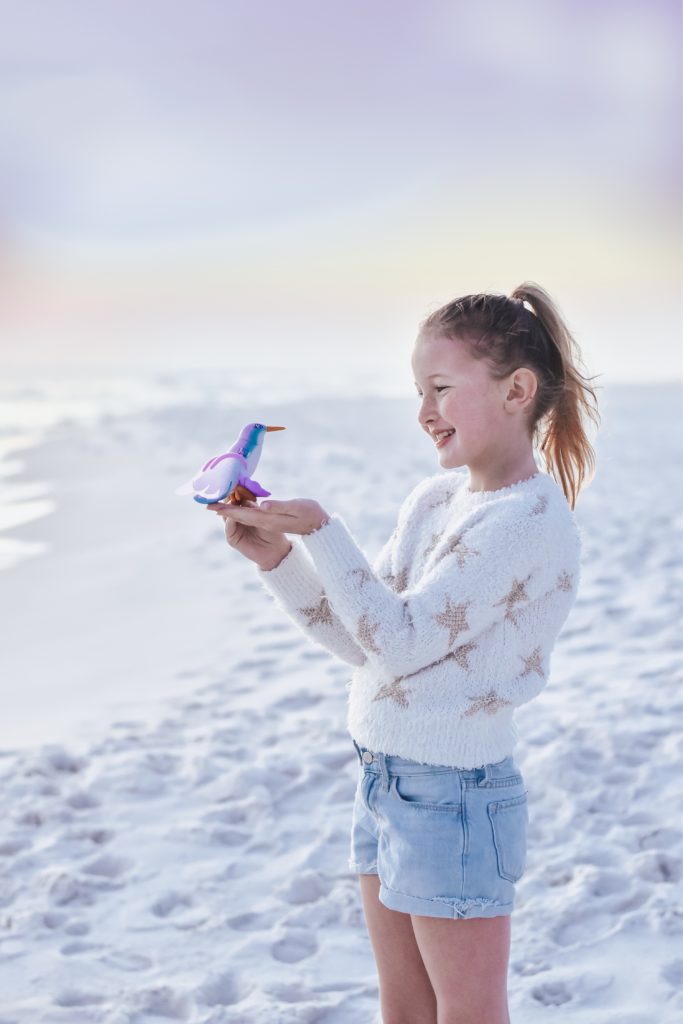 Flutter Friends Toy on the Beach 30A