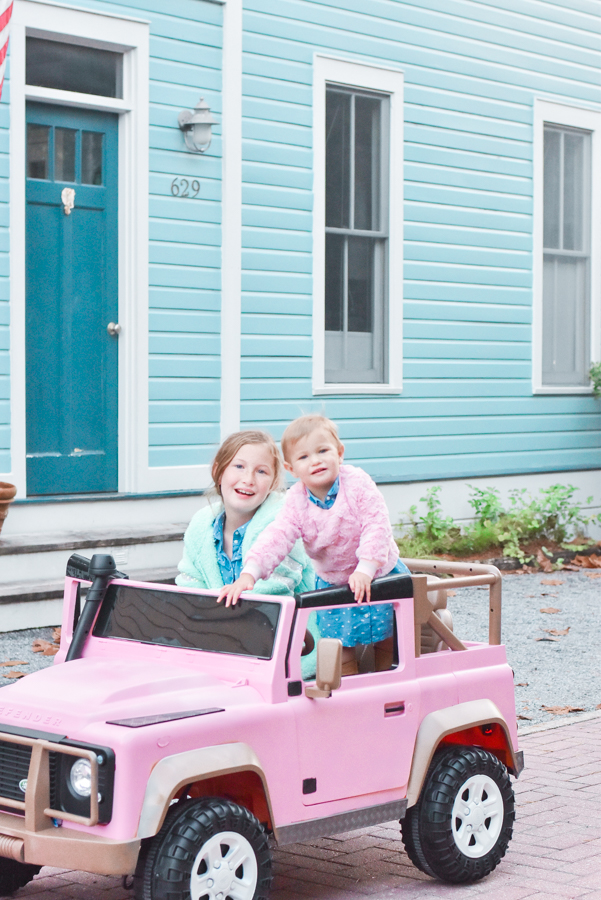 30A Mama blog - Seaside Cottage Rental Agency - Whatcha Dune - Collins pink Defender