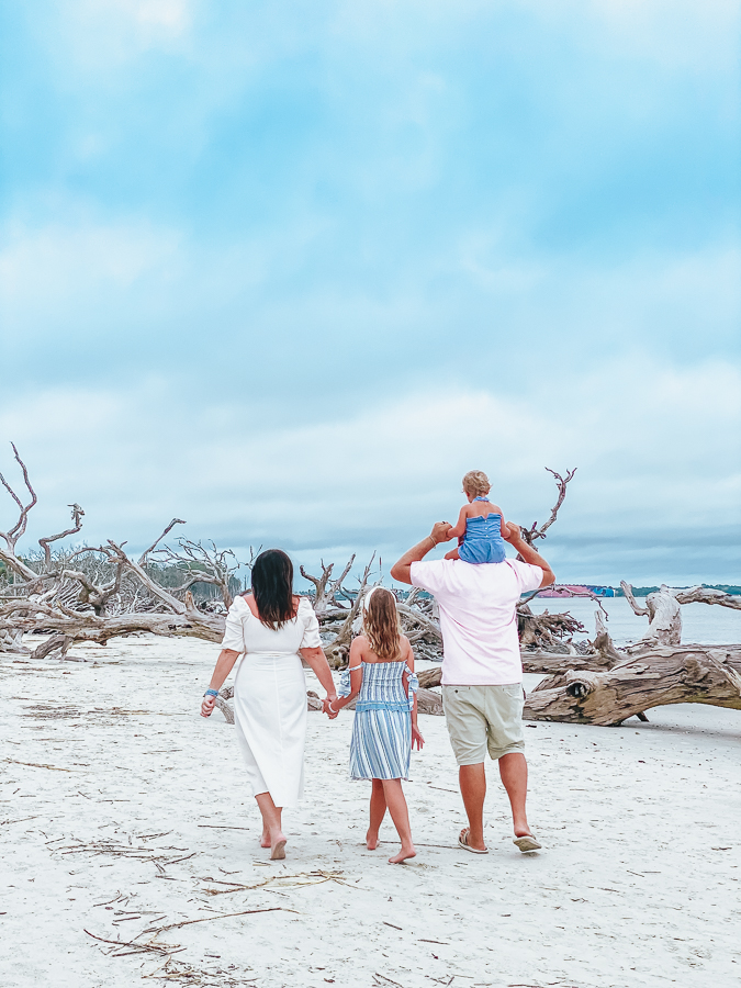 30A Mama Jekyll Island Driftwood beach