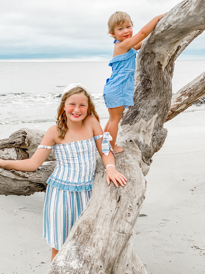 30A Mama Jekyll Island Driftwood beach