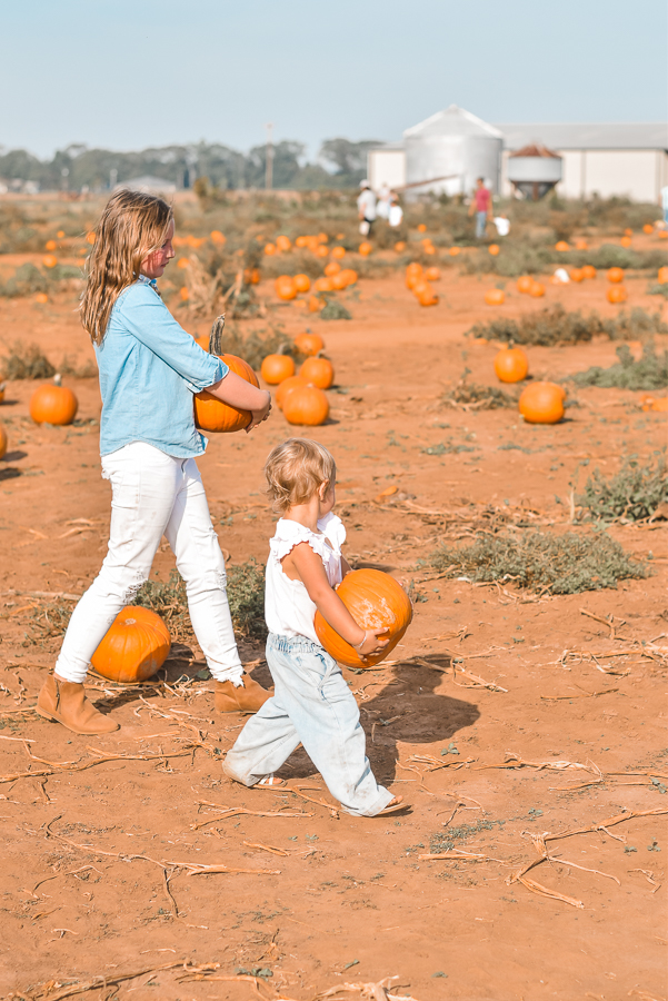 30A Mama Pumpkin Patch- Holland Farms