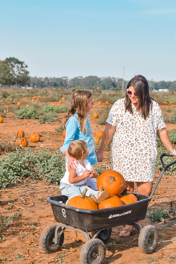 30A Mama Pumpkin Patch- Holland Farms