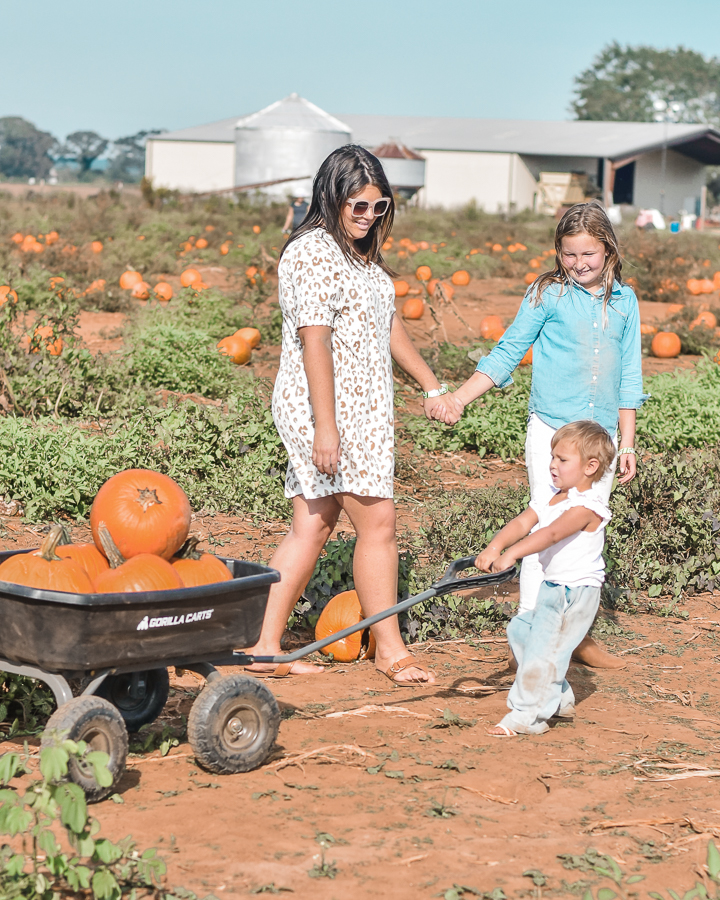 30A Mama Shop Paradise to Me Dress at Pumpkin Patch