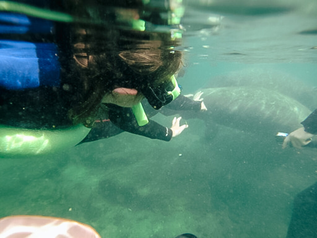 30A Mama Travel - Swim with the Manatees in Crystal RIver