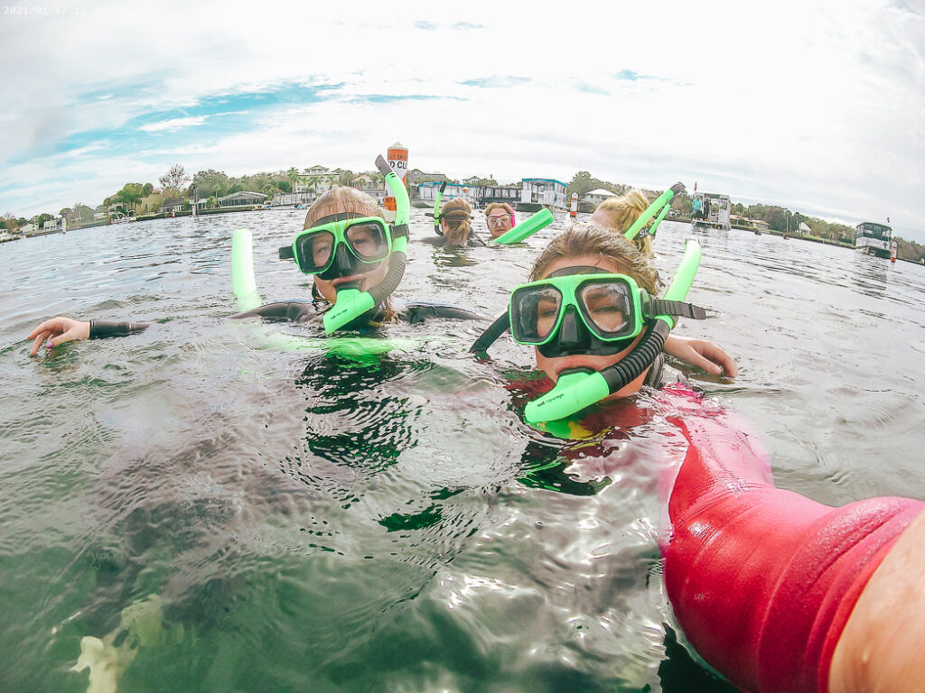 30A Mama Travel - Swim with the Manatees in Crystal RIver