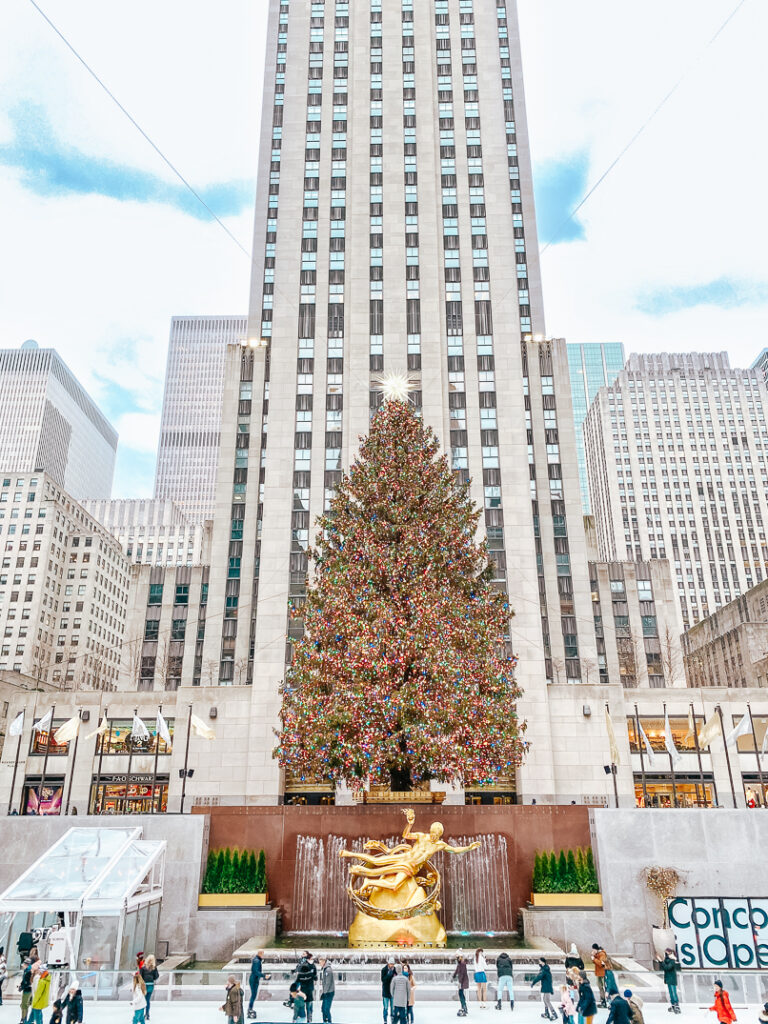 family trip to new york for christmas