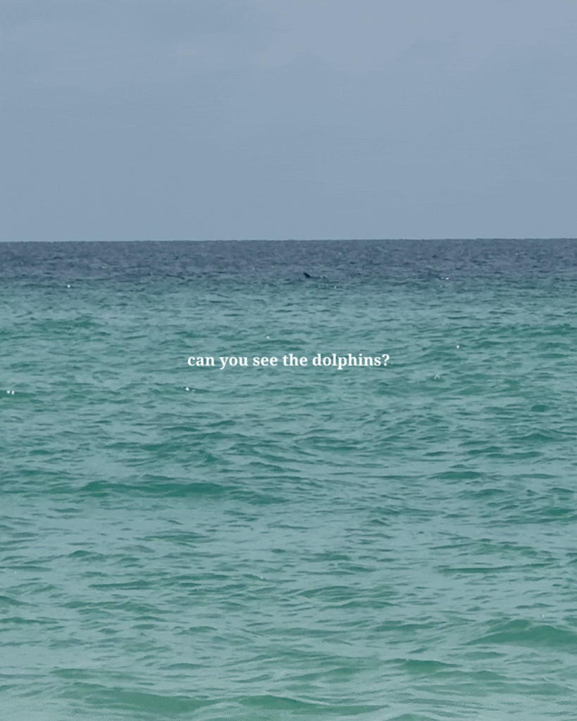 30A Mama worth noting diary dolphins off of 30A 3